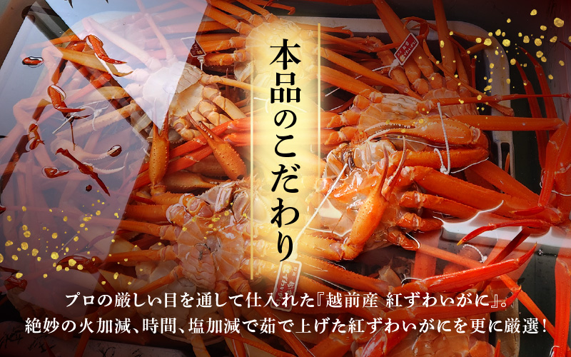 ≪浜茹で≫越前産 紅ずわいがに × 1杯（生で約750g～850g）【5月発送分】【紅ズワイガニ カニ かに 蟹】【紅ずわいがに】希望日指定不可 [e80-x002【】05]