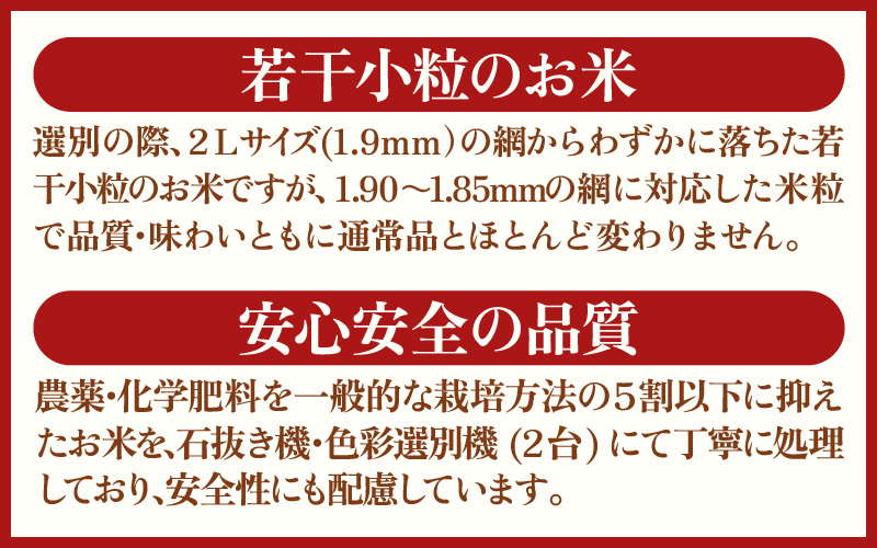【生活応援米】令和7年産 米 特別栽培米 5kg 福井県越前町産 【玄米】【お米 コメ kome 5キロ 家庭用 白米 玄米 農薬5割減】 [e81-a002_02]