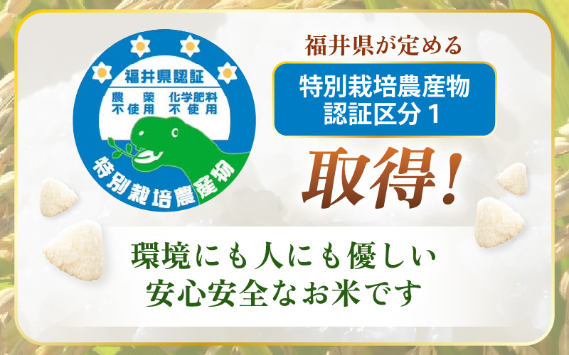 【期間限定】【令和7年産 】 特別栽培米コシヒカリ 5kg 無農薬米 福井県認証区分1取得 越前町【玄米】【5キロ お米 コメ 農薬化学肥料不使用 送料無料】 [e81-b001_02]