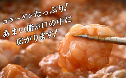 【訳あり】国産 黒毛和牛 ぷりっぷり ホルモン 400g（200g × 2袋）特製タレ味付き 小分け【 小腸 】 [e02-a015]