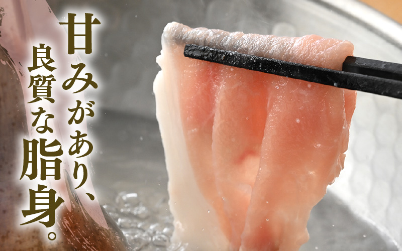 「福井県ブランド豚」ふくいポーク ロース薄切 900g（300g × 3パック）【 銘柄豚 福井県産 ポーク 豚肉 ぶたにく 豚スライス肉 しゃぶしゃぶ  冷しゃぶ 使い勝手抜群 肉巻き 野菜巻き 三元交配 肉  冷凍 小分け バーべキュー 国産】 [e02-a027]