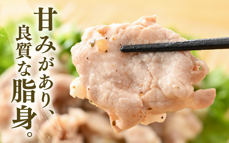 「福井県ブランド豚」ふくいポーク 肩ロース薄切 600g（300g × 2パック）【銘柄豚 福井県産 ポーク 豚肉 ぶたにく 豚スライス肉 冷しゃぶ 使い勝手抜群 肉巻き 野菜巻き 三元交配 肉  冷凍 小分け バーべキュー】 [e02-a028]