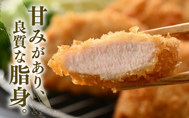 「福井県ブランド豚」ふくいポーク 豚ヒレ切り身 600g（300g × 2パック）【小分けカット 銘柄豚 福井県産 ポーク 豚肉 ぶたにく カット済み豚ヒレ ひとくちポーク 豚カツ肉  使い勝手抜群 三元交配 とんかつ肉 冷凍肉 弁当肉 惣菜肉 バーべキュー 国産】 [e02-a037]