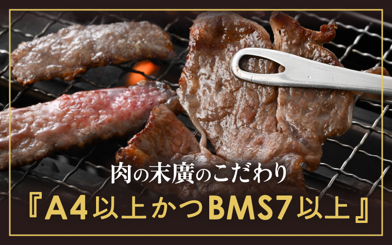 「福井県ブランド肉」食べ比べ 若狭牛 ふくいポーク 焼肉用 合計550g（豚バラ 和牛肩ロース）A4等級以上を厳選！【牛肉 黒毛和牛肉 銘柄豚肉 豚ばら肉 国産豚肉 福井県産 ポーク 焼き肉 おかず 夕食 キャンプ飯 ぶたにく 使い勝手抜群 三元交配 肉 冷凍肉 小分け BBQ】 [e02-a044]