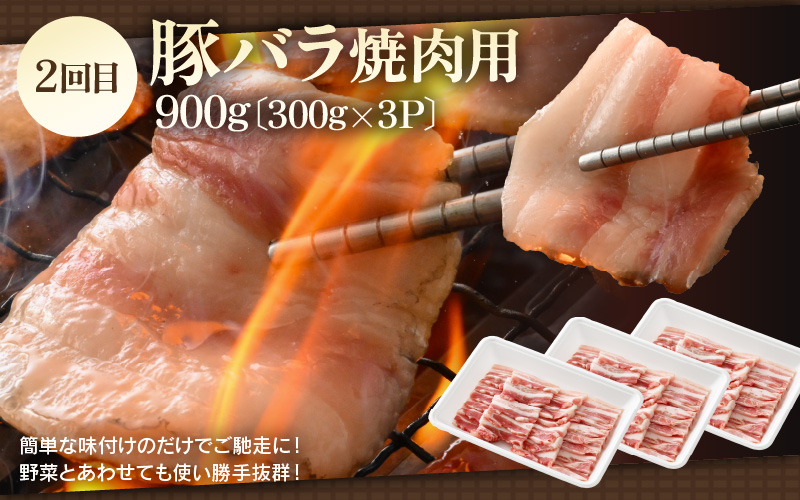 定期便 ≪6ヶ月連続お届け≫ 「福井県ブランド豚」ふくいポーク6種 合計5.5kg【銘柄豚 福井県産 ポーク 豚肉 ぶたにく カット済み豚ヒレ ひとくちポーク 豚カツ肉  使い勝手抜群 三元交配 とんかつ肉 冷凍肉 弁当肉 惣菜肉 バーべキュー 国産 小分けカット】 [e02-f003]