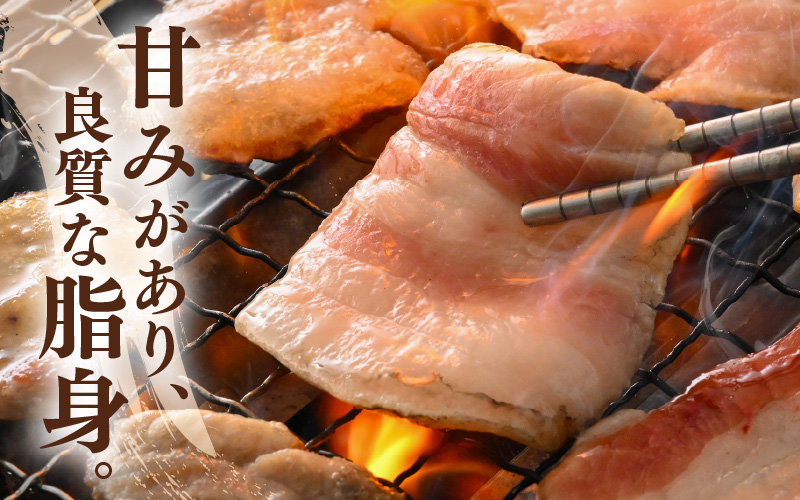 「福井県ブランド豚」ふくいポーク6種 合計5.5kg 焼肉・しゃぶしゃぶ用【銘柄豚 福井県産 ポーク 豚肉 ぶたにく カット済み豚ヒレ ひとくちポーク 豚カツ肉 使い勝手抜群 三元交配 とんかつ肉 冷凍肉 弁当肉 惣菜肉 バーべキュー 国産 小分けカット】 [e02-f004]