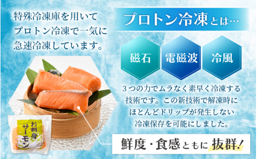 お刺身 サーモン 計300g（100g × 3P）下処理済み 鮮度バツグン！【福井県 冷凍 小分け 刺身 鮭 サケ さけ】 [e04-a080]