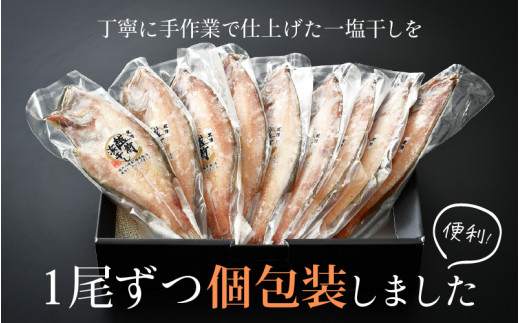 干物 セット 赤がれい 一塩干し 大サイズ （1尾 × 9パック入り）1尾約170g【福井県産 赤カレイ 小分け 個包装 詰め合わせ 保存料・着色料 無添加 おかず 惣菜 冷凍食品】 [e04-a090]