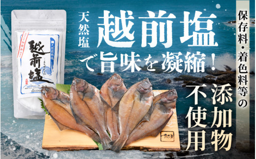 干物 セット 赤がれい 一塩干し 大サイズ （1尾 × 5パック入り）1尾約170g【福井県産 赤カレイ 小分け 個包装 詰め合わせ 保存料・着色料 無添加 おかず 惣菜 冷凍食品】 [e04-a092]