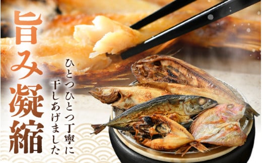 添加物不使用！国産 のどぐろ 入り 干物 5種 セット〈竹〉【ひもの ヒモノ さかな おかず グルメ 小分け 冷凍 個包装 惣菜 魚介類 海鮮 焼魚 簡単調理 朝食 お弁当 無添加 ノドグロ 贈答 おかず 惣菜 冷凍食品】 [e04-a103]