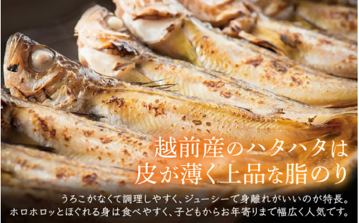 越前産 干しはたはた（3～4尾）× 9パック 越前塩のみで仕上げた一塩干し！【干物 ひもの ハタハタ 海鮮 冷凍 個包装】 [e04-a107]