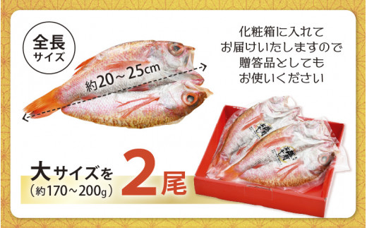のどぐろ 開き 大サイズ × 2尾（170～200g / 尾）【干物 ひもの 無添加 のどぐろ ノドグロ あかむつ アカムツ 冷凍 贈答 化粧箱入 個包装】 [e04-b030]
