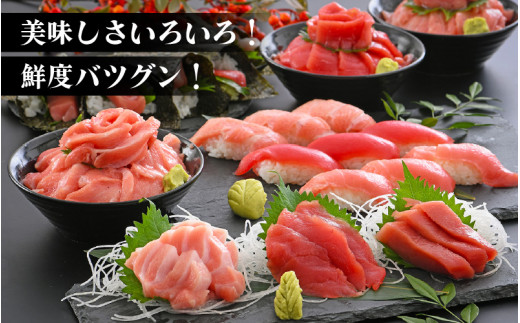 まぐろ三昧「生本まぐろ」大トロ・中トロ・赤身 各約300g（2～3柵） 合計約900g 【本まぐろ 鮪 クロマグロ ホンマグロ まぐろ 冷蔵 お取り寄せ グルメ】 [e04-e005]