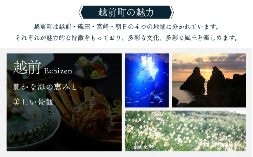 越前町ふるさと感謝券（5,000円分）【宿泊 レジャー アウトドア BBQ 体験型 宿泊券 福井県】 [e05-a001]