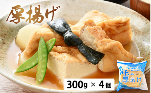 国産大豆とうふ  がんも 厚揚げ お楽しみセット6種 各1個 【国産 大豆 豆腐 とうふ 厚揚げ がんもどき 食べ比べ ぎんなん 青豆 黒豆 】 [e08-a004]