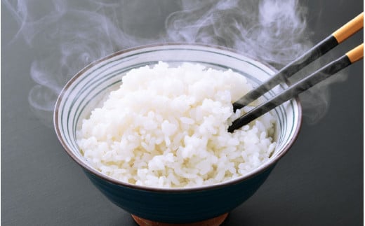 令和7年産 新米 特別栽培米 コシヒカリ 10kg 福井県産米（有機肥料100% 農薬7割減）【令和7年産 人気品種】 [e10-d002]