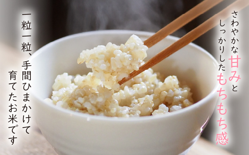 【令和7年産】農薬不使用 特別栽培米コシヒカリ10kg（5kg×2）【玄米】福井県認証区分1取得「田んぼの天使」越前町【10キロ お米 コメ 農薬化学肥料不使用 送料無料】 [e10-d004]