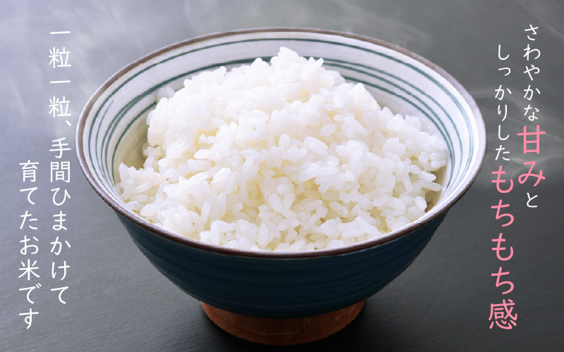 《6ヶ月定期便》農薬不使用こしひかり 10kg（5kg×2袋）×6ヶ月連続 計60kg  令和7年産 特別栽培米コシヒカリ【精米】福井県認証区分1取得「田んぼの天使」越前町【5キロ お米 コメ 農薬化学肥料不使用 送料無料】 [e10-o003]