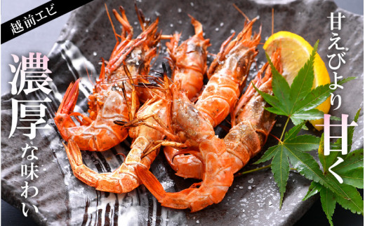 福井漁連 エビ2種 食べ比べセット 計1kg！「幻のエビ」越前えび500g & 越前甘エビ500g [e12-b009]