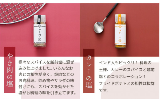 こびんの塩 瓶タイプ 卓上塩 5種 セット【わさび  さくら やき肉 カレー えち前の塩】【万能塩 小分け 便利 お楽しみ ご飯のおとも 小瓶 携帯 焼肉 BBQ 和菓子 魚 刺身】 [e13-a007]