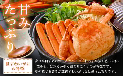 ≪浜茹で≫越前産 紅ずわいがに 約900g × 2杯 食べ方しおり付【紅ズワイガニ カニ かに 蟹 姿 ボイル 冷蔵 福井県】【5月発送分】希望日指定不可 [e14-x001【】05] 