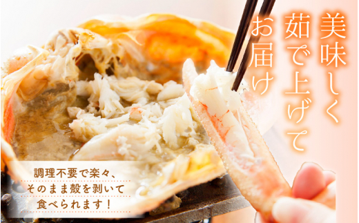 【訳あり】越前がに本場の越前町からお届け！ 越前がに 浜茹で 極サイズ（生で1.5kg以上） × 1杯 味は「極」同様！かにの食べ方しおり付き【1月発送分】希望日指定可 備考欄に希望日をご記入ください [e14-x013【】01]