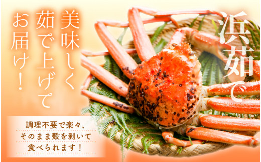 越前がに本場の越前町からお届け！≪浜茹で≫越前がに 中サイズ（生で900g以上）× 2杯 合計1.8Kg以上 食べ方しおり付【1月発送分】希望日指定可 備考欄に希望日をご記入ください [e14-x016【】01]