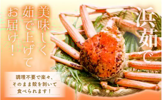 越前がに本場の越前町からお届け！≪浜茹で≫越前がに 中サイズ（生で900g以上）× 4杯 合計3.6Kg以上 食べ方しおり付【かに カニ 蟹】【雄 ズワイガニ かに カニ 蟹 越前ガニ 姿 ボイル 冷蔵 福井県】【3月発送分】希望日指定可 備考欄に希望日をご記入ください [e14-x017【】03]