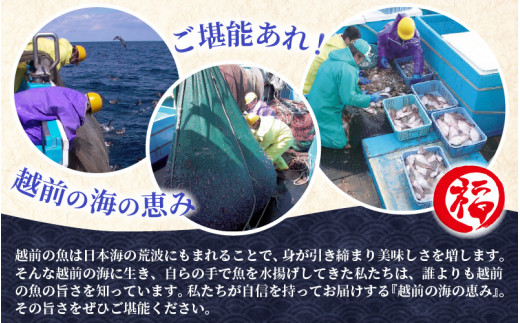 越前カレイ 「越前焼き赤かれい 5尾入 」簡単！調理済み [e15-a006]