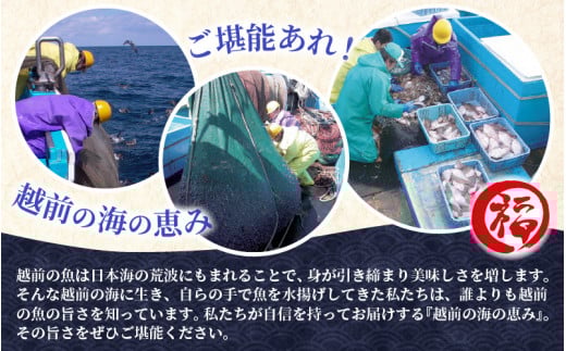 無添加 かれい煎餅 50g × 5パック【越前産カレイ100%使用】 [e15-a007]