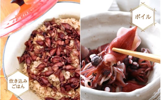 お中元 ギフト 急速冷凍 生 ホタルイカ 21尾入 × 3パック 合計約420g（刺身・しゃぶしゃぶ用）小分け ふっくらプリプリ 鮮度抜群 上品な甘みを存分にお楽しみください！【ほたるいか おつまみ 酒の肴 お取り寄せ グルメ 冷凍 宅飲み】 御中元 のし対応可 [e15-a014]