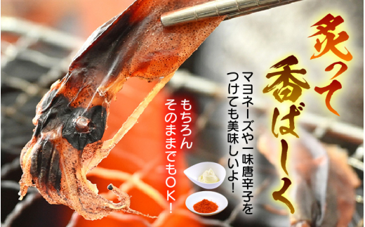 産地直送！ ホタルイカ 素干し 約250g（50g × 5パック）網元漁師が厳選！ 便利な小分け袋 全国トップクラスの漁獲量 越前町よりお届け 【福井県 海鮮 ほたるいか おつまみ 酒の肴 お取り寄せ グルメ 宅飲み 冷蔵】 [e15-a017]