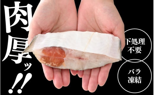 越前産 カレイ 切り身 計3kg（1kg × 3袋） バラ凍結 最短5営業日以内発送！使い勝手抜群！ 福井県網元漁師が厳選！ 肉厚な越前産 カレイ（無塩） 【 焼き魚 煮付け バラ凍結便利 】 [e15-a033]