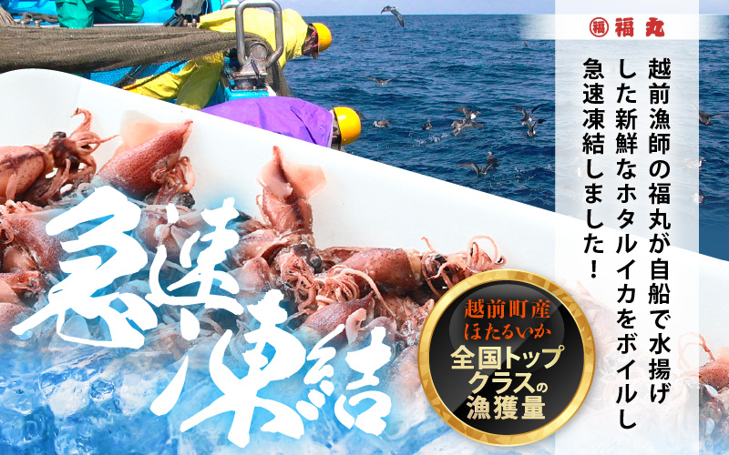 解凍するだけ ! 越前町産 ボイル済 ホタルイカ 500g 急速凍結 冷凍 ほたるいか 全国トップクラスの漁獲量【茹で ボイル 日本海 いか イカ 烏賊 福井県 魚介 海鮮 惣菜 さかな おつまみ 酒の肴 お取り寄せ グルメ 宅飲み 小分け 日常使い 5000円以下 買い回り】 [e15-a052]