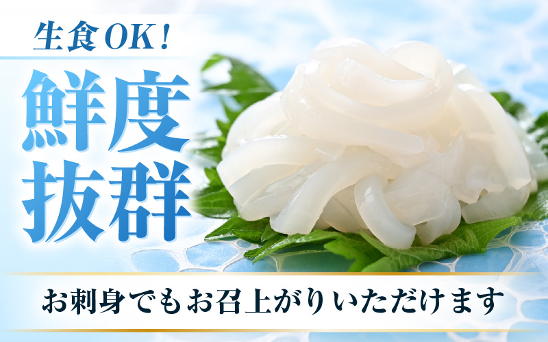 【急速冷凍】【訳あり】生いか 天然ケンサキイカ サイズ無選別 500g 定置網漁 皮むけ・サイズ不揃い【剣先いか 生イカ いか 白イカ いかめし いか焼き 姿焼き げそ 煮付け 海鮮 鮮魚 おつまみ】 [e15-a061]