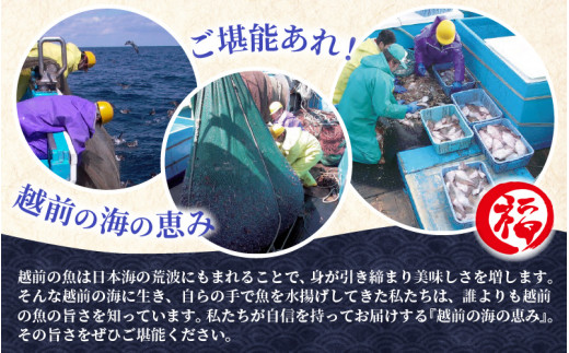 解凍と温めだけのお手軽グルメ！ 明太子入り焼き鯖 越前珍味「ごうじょうさば」 3尾 【骨抜き 魚介類 海鮮 めんたい 明太子 サバ ほねなし 手軽 おかず 惣菜 冷凍食品  ギフト 贈答 送料無料 】 [e15-b001]