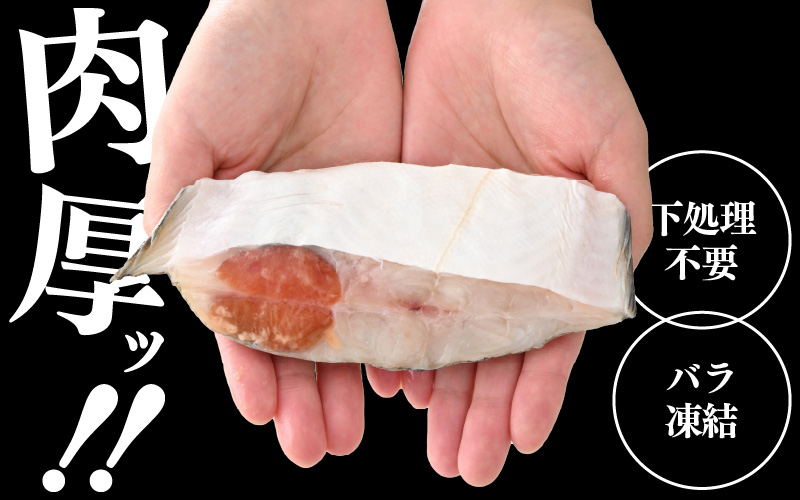 定期便 ≪12ヶ月連続お届け≫ 使い勝手抜群！福井県網元漁師が厳選 肉厚な越前産カレイの切り身（無塩）1kg × 12回 計12kg 【 たっぷり 焼き魚 煮付け バラ凍結便利 】 [e15-e004]