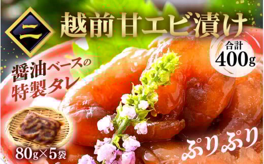 定期便 ≪6ヶ月連続お届け≫ お楽しみ 海鮮 セット【カニ ずわいがに えび 明太子 鯖 カレイ漬け丼 冷凍 小分け 】 [e15-g002]