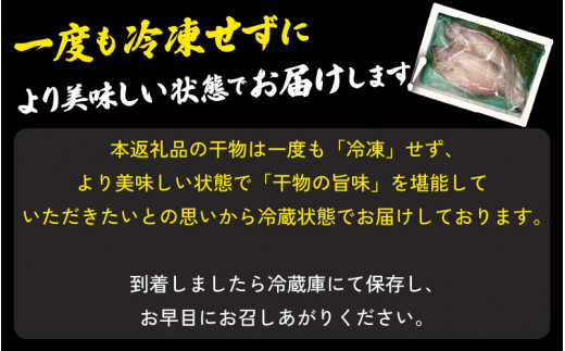 越前がれい 天日干し 大2枚 越前の港から直送！旨味濃縮 一夜干し [e23-a001]