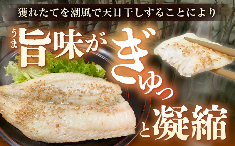 【先行予約】珍しい冷蔵発送！魚屋のこだわり干物「春にお届け干物セット」【2026年4月上旬以降順次発送予定】【保存料・着色料無添加 海鮮 詰め合わせ おかず 魚介 アジ サバ カレイ 魚 ひもの 惣菜】 [e23-a002]