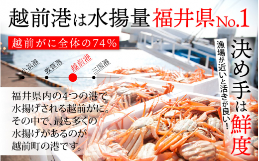 越前がに本場の越前町からお届け！ 越前がに 浜茹で 大サイズ（生で0.9～1kg） × 1杯【かに カニ 蟹】【福井県 越前町 雄 ズワイガニ ボイル 冷蔵 越前ガニ 越前かに 越前カニ ずわいがに ずわい蟹】【1月発送分】 [e23-x004【】01]