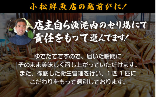 【期間限定】≪浜茹で≫ 越前産水がに中サイズ 6肩（1.05ｋg以上)　脱皮したてのずわいがに雄【雄 ズワイガニ ずわいがに 姿 ボイル 冷蔵 福井県】【3月発送】希望日指定可 備考欄に希望日をご記入ください [e23-x011]