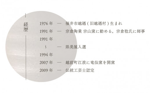 【越前焼】冷酒カップ（茶）竜仙窯【ビール 酒 コップ カップ マグカップ 食器 ブラック ギフト うつわ 電子レンジ 食洗機 工芸品 伝統工芸士 陶器 】 [e25-a034]