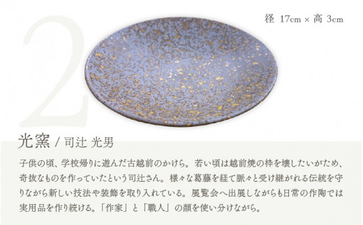 【越前焼】窯元めぐり 3枚組 そば鉢編【プレート さら 皿 蕎麦 多様はち 個性的 食器 ギフト うつわ  電子レンジ 食洗機 陶芸作家 工芸品  陶器 】 [e25-c005]