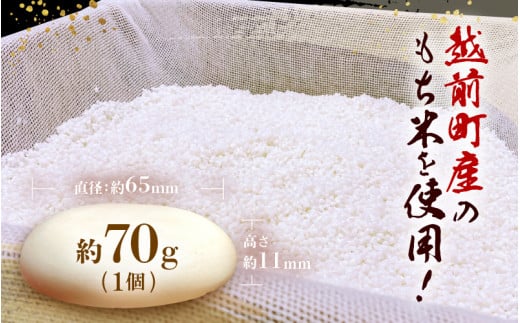 雪んこ餅 丸もち 杵つき 計1.4kg（70g × 20個）国産【雑煮 御馳走 添加物不使用 少量 食べきり】 [e26-a009]