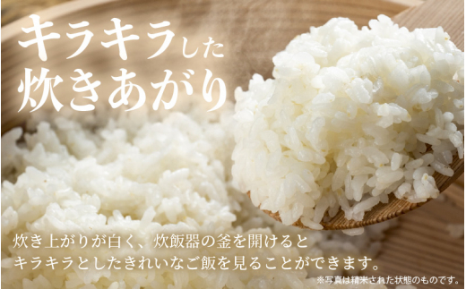 【新米】 令和7年産 あきさかり 3kg 福井県産 コシヒカリ系統品種【玄米】【お米 アキサカリ 3キロ】 [e30-a090]