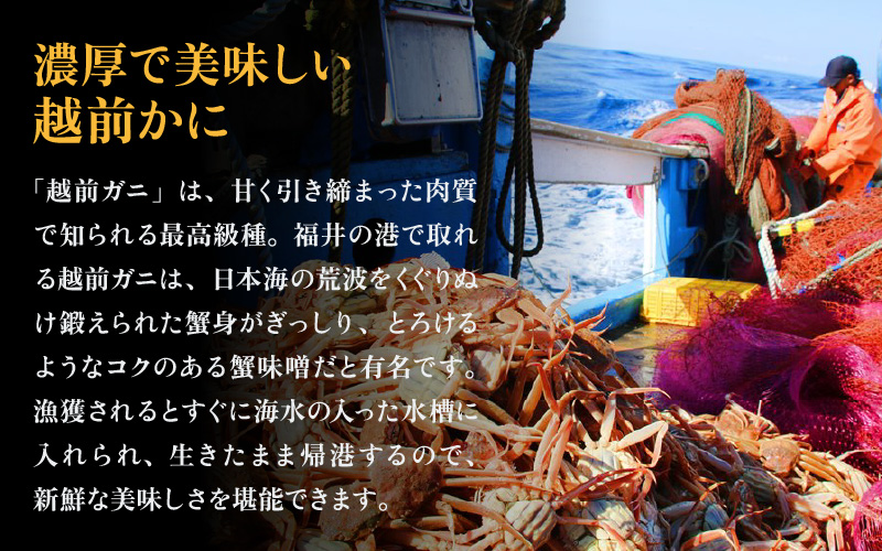 利用券 昼食事券 6,000円分 「日本海が目の前！絶景！お店で食べる 贅沢かに料理 福井県 越前町」【 2年間有効期限 越前かに 食事券 食事 チケット 券 海の幸 カニ料理 蟹 魚介 かに 蟹 海産物 カニ ガニ 贅沢 グルメ 満腹グルメ 】 [e33-b004]