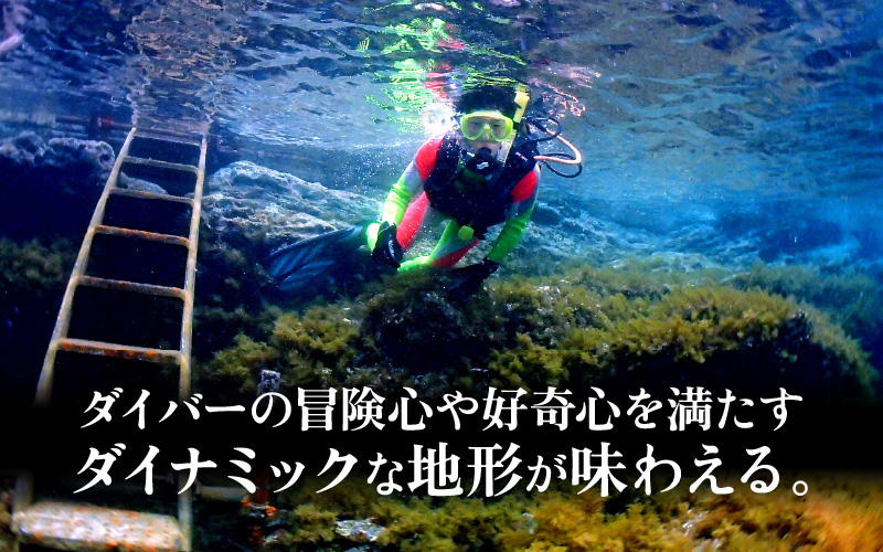 利用券 15,000円分 越前海岸国定公園 『海辺の小さな手作りリゾート ECHIZEN LOG（えちぜんログ）』絶景日本海！越前の海を楽しむ マリンアクティビティ 体験・宿泊・飲食 福井県 越前町【 2年間 有効期限 ダイビング マリン カヤック サップ RV 車 パーク ウミウシ 体験 宿泊 越前かに 券 海の幸 カニ料理 蟹 魚介 かに 蟹 海産物 満腹グルメ 】 [e33-e001]