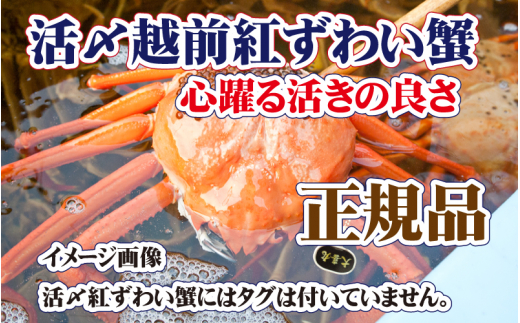 活〆越前 紅ずわいがに × 1杯 旨味満載！！【浜茹で 紅ズワイガニ 紅ずわい蟹 かに カニ 蟹 姿 ボイル 冷蔵 福井県】【3月発送分】希望日指定不可 [e37-x001【】03b]