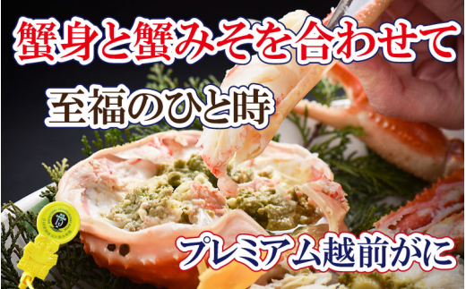 越前がに × 1杯（一番蟹）越前国の主！越前がにの象徴【雄 ズワイガニ ずわいがに 姿 生 ボイル 冷蔵 福井県】【1月発送分】【浜茹でお届け】希望日指定可 備考欄に希望日をご記入ください [e37-x006【】01b]